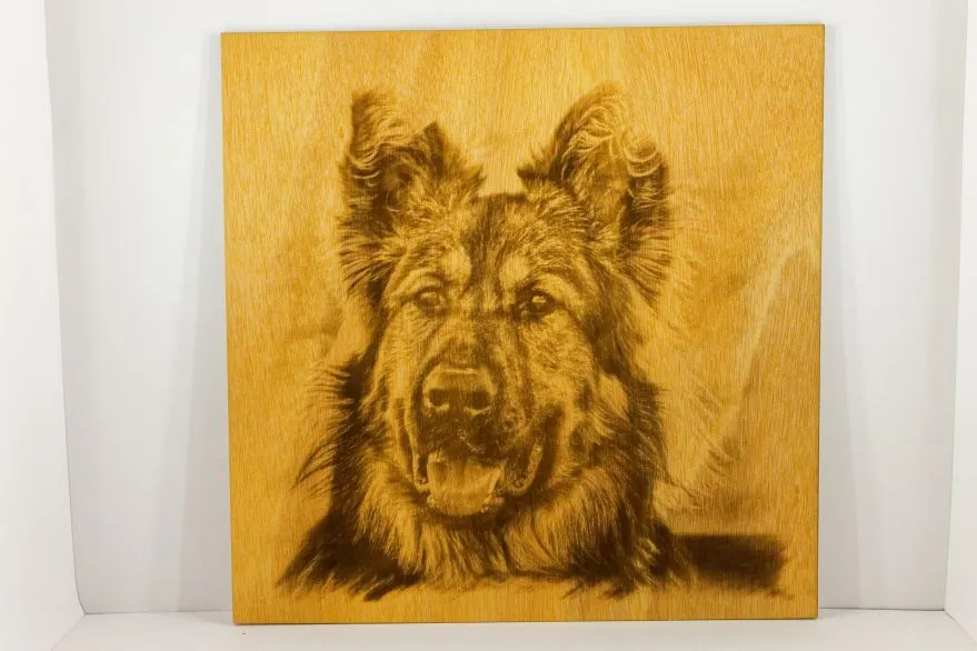 Gravure laser chien
