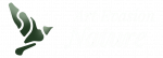 Logo Art Evasion Nature