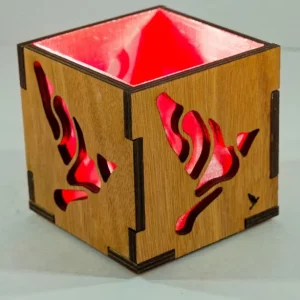 Boîte Lumineuse Personnalisable